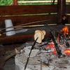 dsc_1419-1024