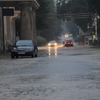 fot_010