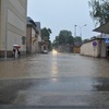 fot_011