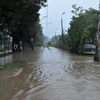 fot_020