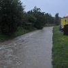 fot_025