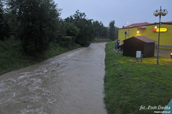 fot_025