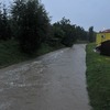 fot_028