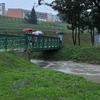 fot_029