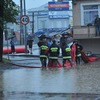 fot_040