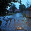 fot_061