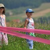 foto_087