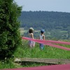 foto_193