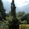 foto_36