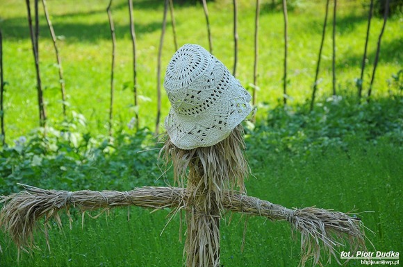foto_086