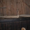 foto_092