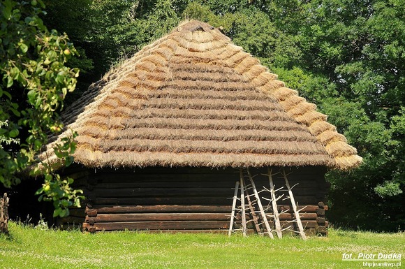 foto_099