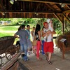 foto_227