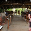 foto_233