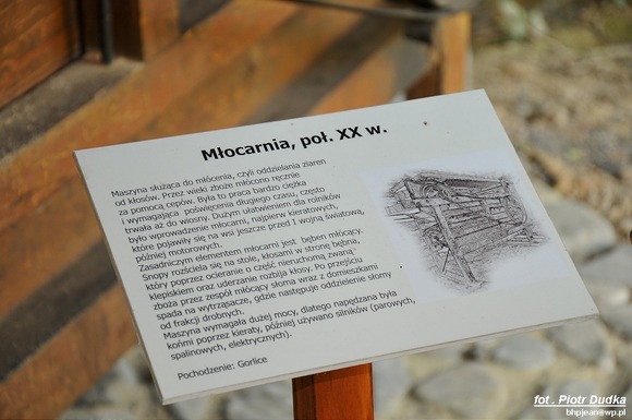 foto_239