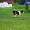 foto_451