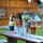 foto_465