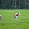foto_502