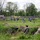 foto_023