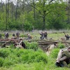 foto_039