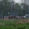 foto_002