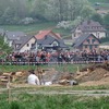 foto_010