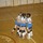 foto_034