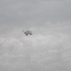 dsc_5919-1024_1430835503
