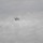 dsc_5919-1024_1430835503