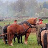 dsc_5926-1024