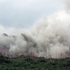 dsc_6079-1024
