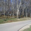foto_025
