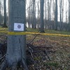 foto_035