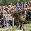_mg_0740