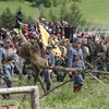 _mg_0761
