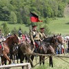 _mg_0780