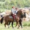 _mg_0785