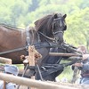 _mg_0866