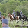 _mg_0878
