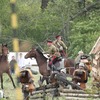 _mg_0941