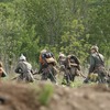 _mg_0959
