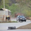 img_0694-1024
