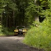 DSC_4594a-1024