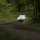 DSC_4631a-1024