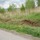 foto_37