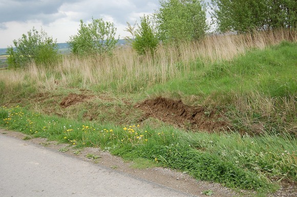 foto_37