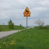 foto_48