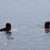 csc_0099