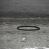 _MG_6504-1024