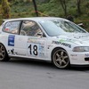 IMG_0981-1024